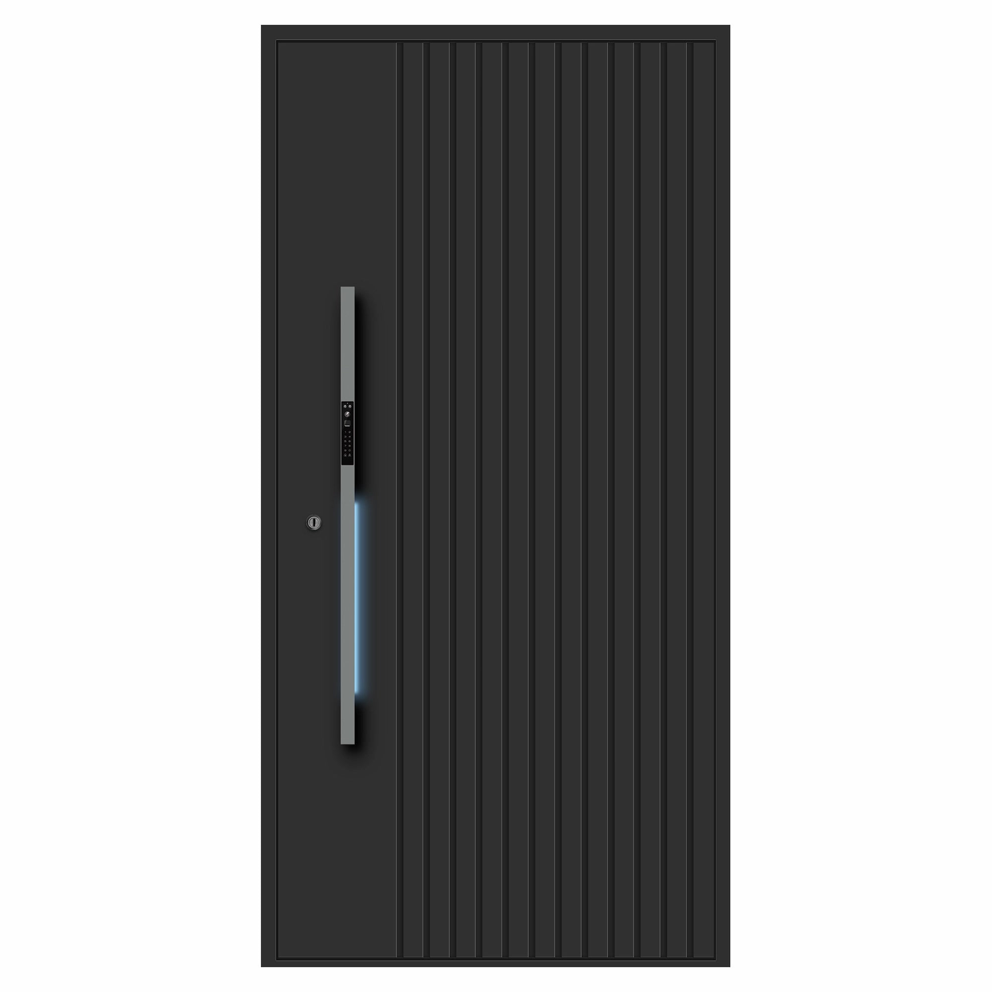 Nebula Aluminum Door