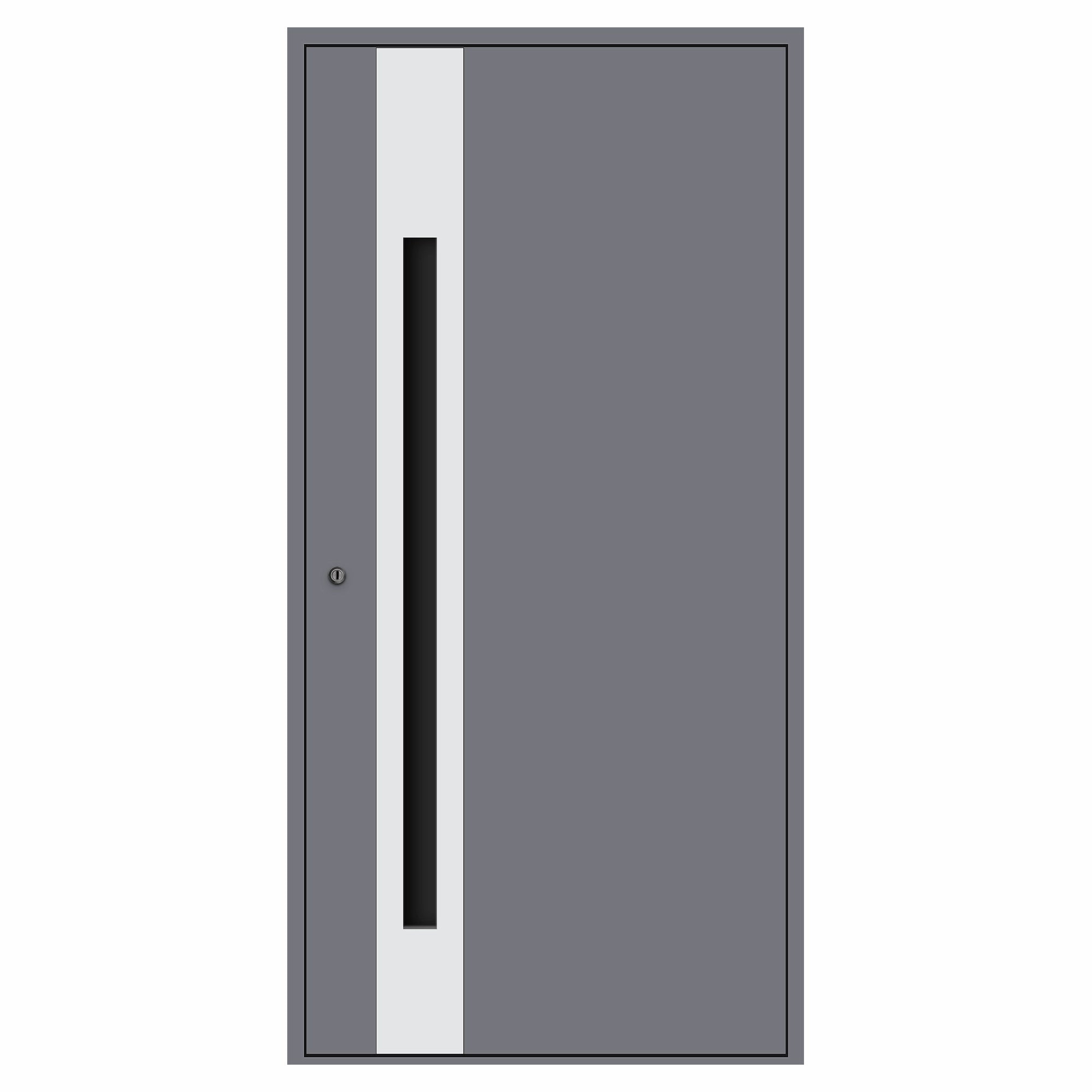 Obsidian Aluminum Door