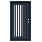 Premium iron door manufactured in Los Angeles, featuring intricate designs, superior craftsmanship, and durable security—perfect for enhancing home and business entrances.