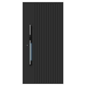 Nebula Aluminum Door