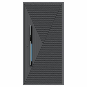 Orion Aluminum Door